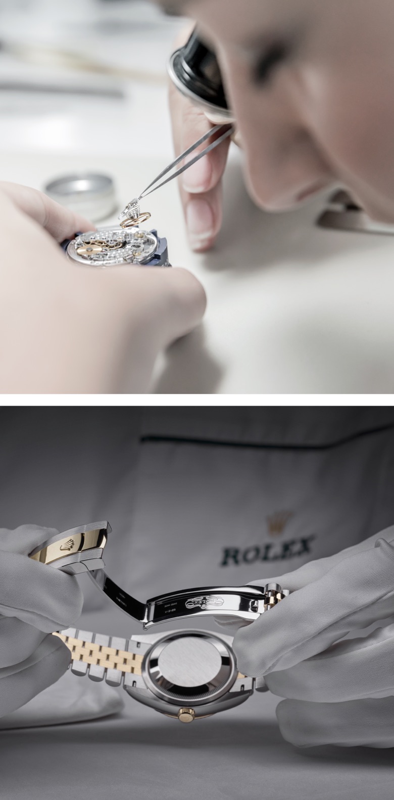 Viaje al corazón del universo Rolex